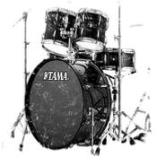 Tama Fat Spuce Satin Wild Spruce