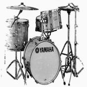 Yamaha absolute Vintage natural